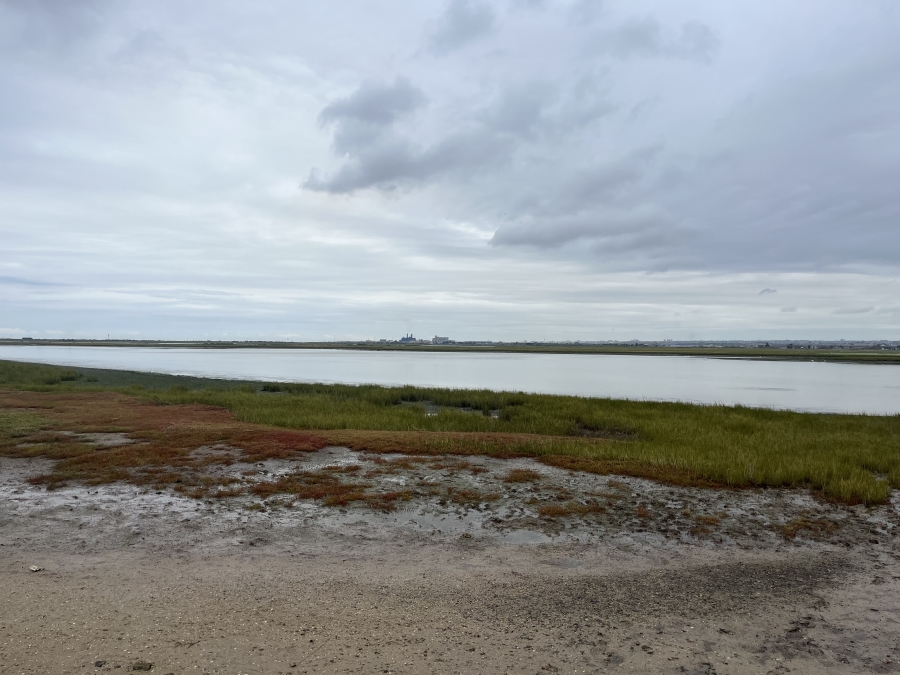 0 Bedroom Property for Sale in Amsterdamhoek Eastern Cape